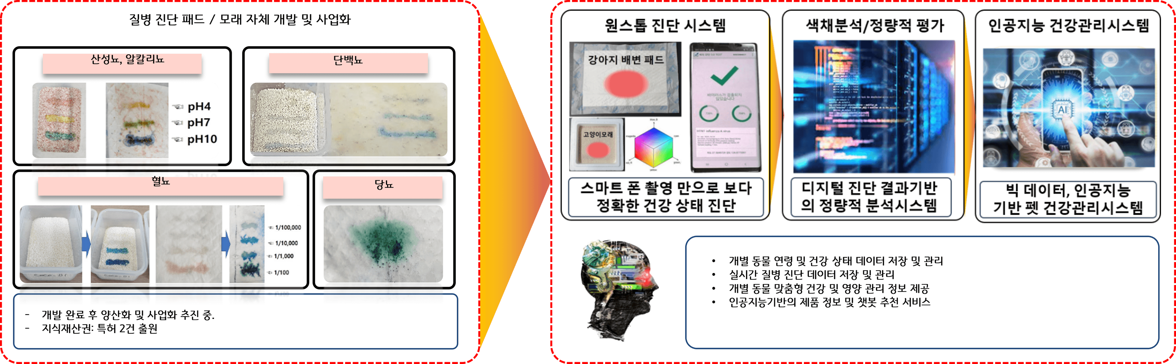 질병 진단 패드 모래